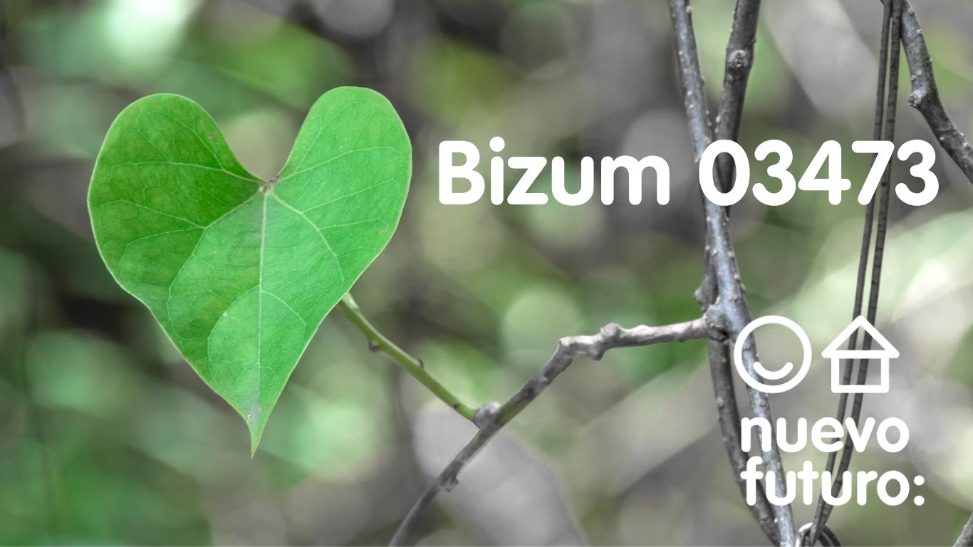 Dona por Bizum al código 03473